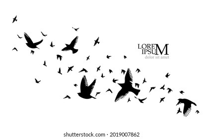 A flock of flying birds. Vector illustration
