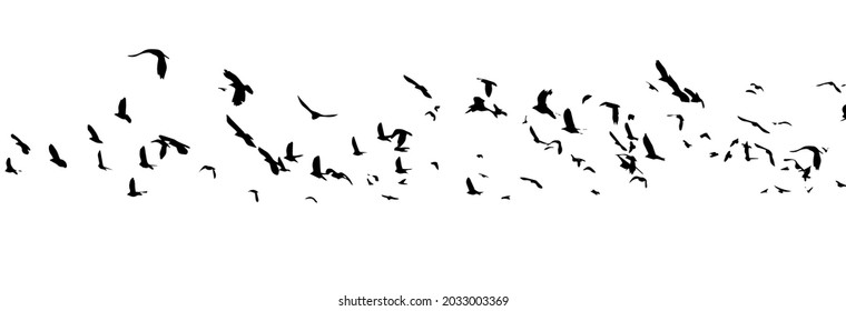 A flock of flying birds. Vector illustration