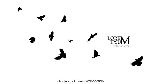 A flock of flying birds. Vector illustration