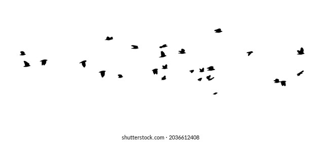 Un rebaño de pájaros voladores. Ilustración del vector