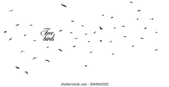 A flock of flying birds. Vector illustration