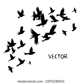 A flock of flying birds. Vector illustration