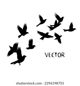 A flock of flying birds. Vector illustration