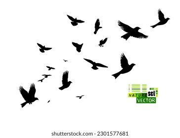 A flock of flying birds. Vector illustration