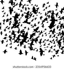 A flock of flying birds. Vector illustration