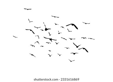 A flock of flying birds. Vector illustration
