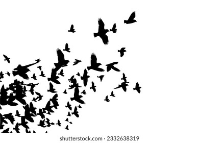 A flock of flying birds. Vector illustration