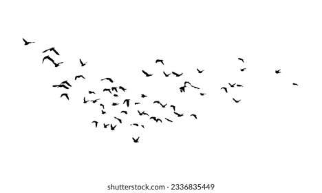 A flock of flying birds. Vector illustration