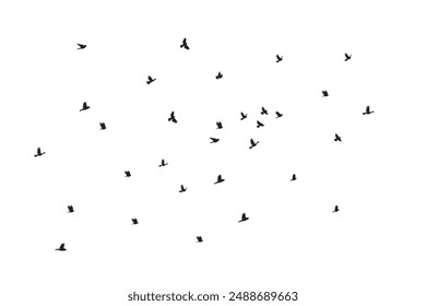 Flock of flying birds vector illustration