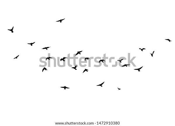 A flock of\
flying birds. Vector\
illustration