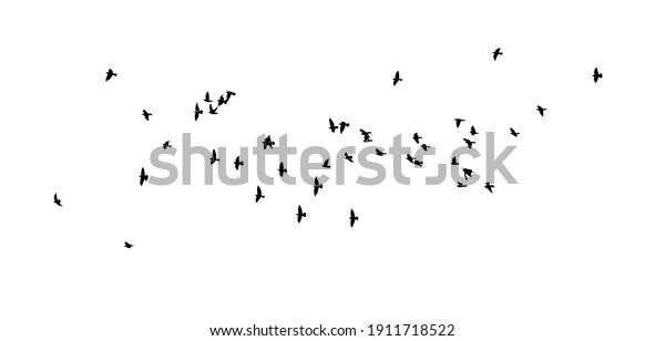 A flock of\
flying birds. Vector\
illustration