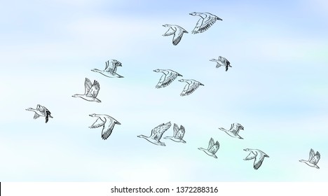 Flock of flying birds. Vector mesh background.