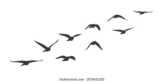 Flock of flying birds. Vector silhouette birds clipart