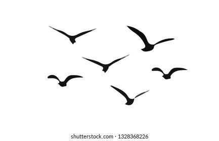 A Flock of Flying Birds. Vector. wall print. black and white. isolated seagull