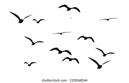 Flock Flying Birds Vector Wall Print Stock Vector (Royalty Free ...