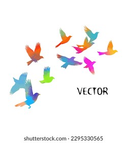 A flock of flying colored birds. Vector illustration