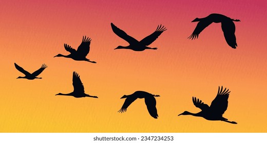 Flock of flying cranes, heron,egret, stork, flamingo
 in a set of vector silhouettes