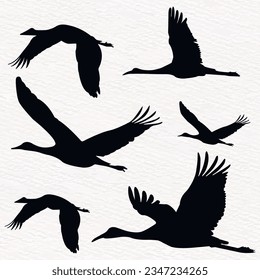 Flock of flying cranes, heron,egret, stork, flamingo
 in a set of vector silhouettes