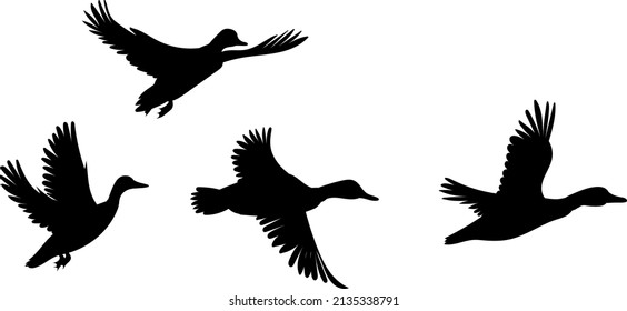 flock of flying ducks silhouette, isolated vector