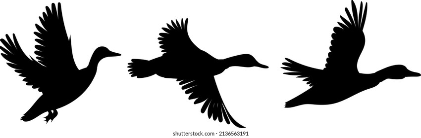 Flock Of Flying Ducks Silhouette Isolated Vector