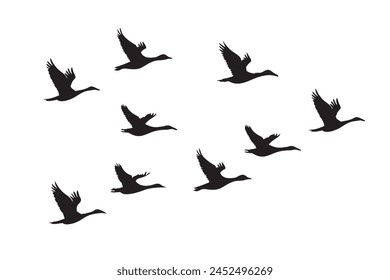 Flock of flying geese silhouettes isolated on white background. Vector illustration.