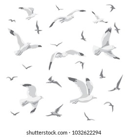 Flock of flying seagulls. Gulls  flight motion.  Monochrome birds isolated on white.  Vector flat illustration.