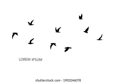 A flock of flying silhouette birds. Black on white background. Vector illustration