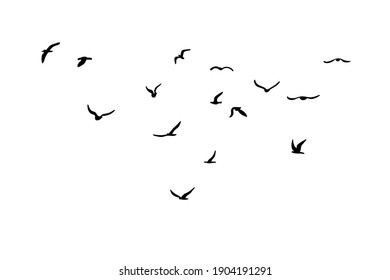 Flock Flying Silhouette Birds Black On Stock Vector (Royalty Free ...