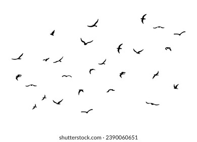 A flock of flying silhouette birds. Black on white background. Vector illustration