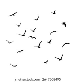 Um bando de pássaros voadores da silhueta. Preto sobre fundo branco. Ilustração vetorial