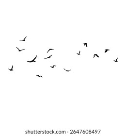 A flock of flying silhouette birds. Black on white background. Vector illustration