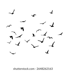 Um bando de pássaros voadores da silhueta. Preto sobre fundo branco. Ilustração vetorial