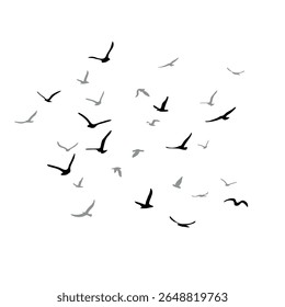 Um bando de pássaros voadores da silhueta. Preto sobre fundo branco. Ilustração vetorial