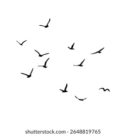 A flock of flying silhouette birds. Black on white background. Vector illustration