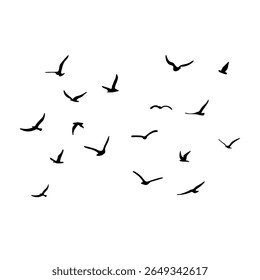 Um bando de pássaros voadores da silhueta. Preto sobre fundo branco. Ilustração vetorial