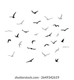 Um bando de pássaros voadores da silhueta. Preto sobre fundo branco. Ilustração vetorial