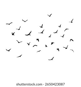 Um bando de pássaros voadores da silhueta. Preto sobre fundo branco. Ilustração vetorial
