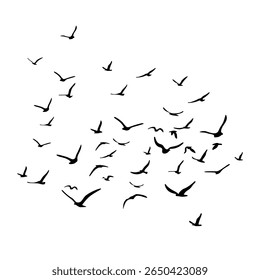 Um bando de pássaros voadores da silhueta. Preto sobre fundo branco. Ilustração vetorial