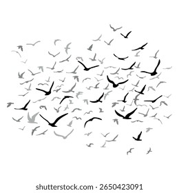 Um bando de pássaros voadores da silhueta. Preto sobre fundo branco. Ilustração vetorial