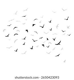 Um bando de pássaros voadores da silhueta. Preto sobre fundo branco. Ilustração vetorial