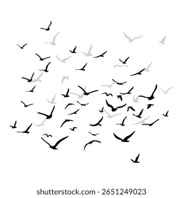 Um bando de pássaros voadores da silhueta. Preto sobre fundo branco. Ilustração vetorial