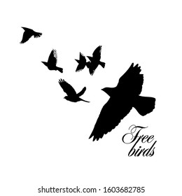 A flock of flying silhouette birds. Vector illustration