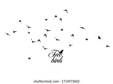 A flock of flying silhouette birds. Vector illustration