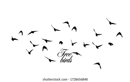 A flock of flying silhouette birds. Vector illustration