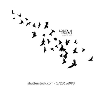 A Flock Of Flying Silhouette Birds. Vector Illustration