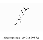 A flock of flying swallows, bird silhouettes in the sky. Wild Birds Unlimited: bird food, feeders, and feeding.