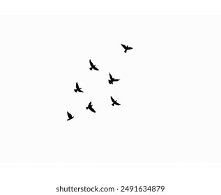 A flock of flying swallows, bird silhouettes in the sky. Wild Birds Unlimited: bird food, feeders, and feeding.