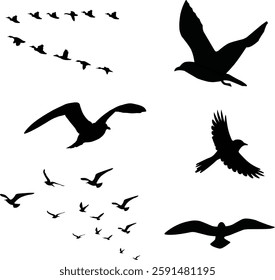 A flock of flying swallows, bird silhouettes in the sky. Wild Birds Unlimited: bird food, feeders, and feeding.