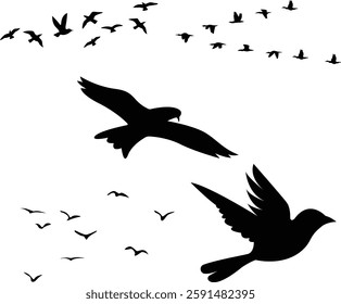 A flock of flying swallows, bird silhouettes in the sky. Wild Birds Unlimited: bird food, feeders, and feeding.