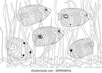 flock of funny fish swimming among seaweed for your coloring book